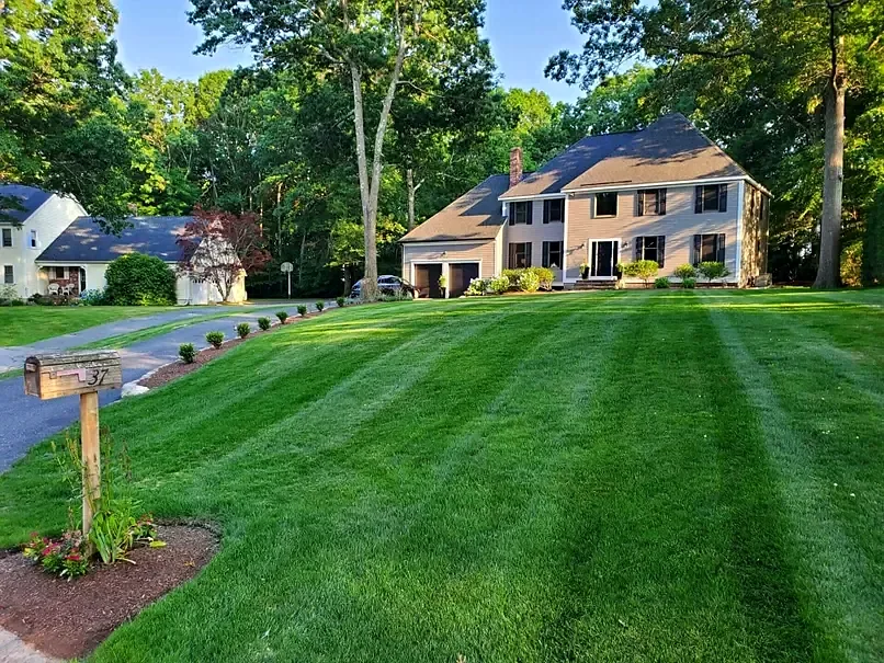What to Look for in a Lawn Care Company