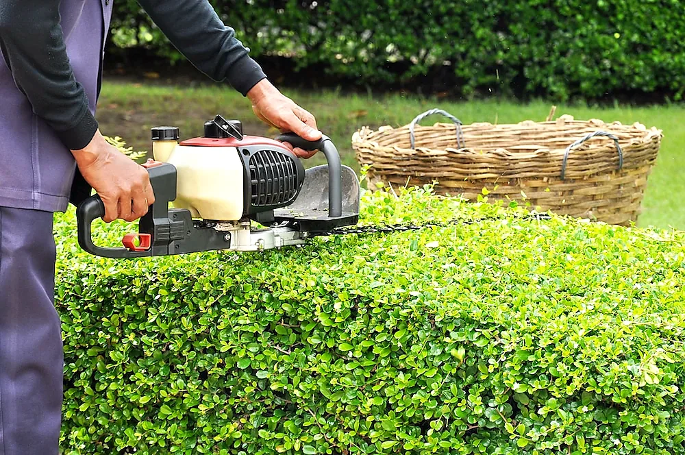 When and How to Prune Hedges & Shrubs in Southern Ontario