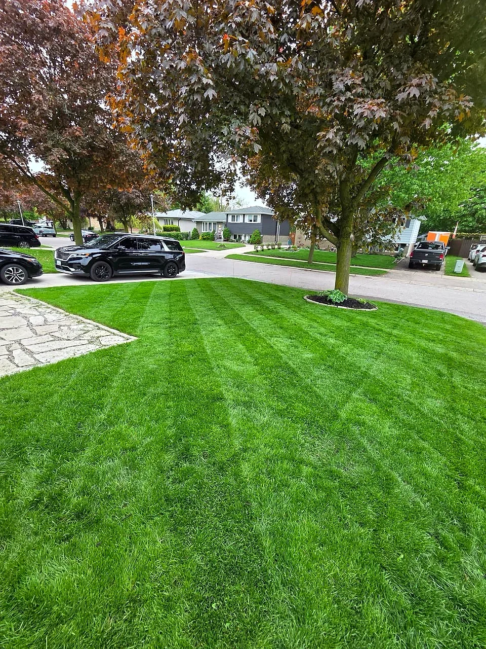 Best Lawn Mowing Height in Southern Ontario