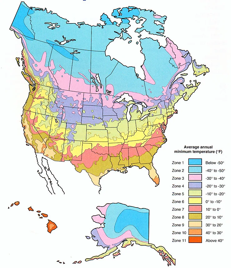 Plant Hardiness Zones in Etobicoke, Mississauga & Oakville