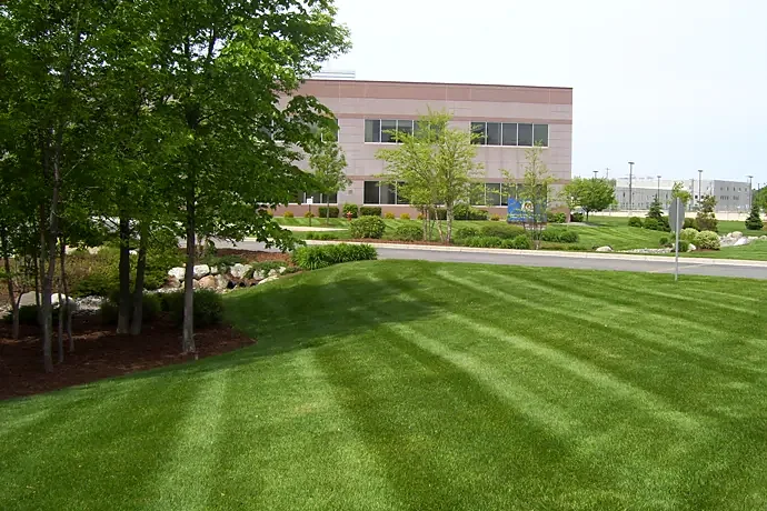 Maintained commercial lawn and landscape