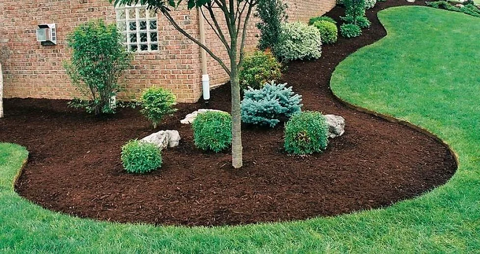 Crisp garden edging with fresh mulch