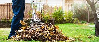 Spring property cleanup