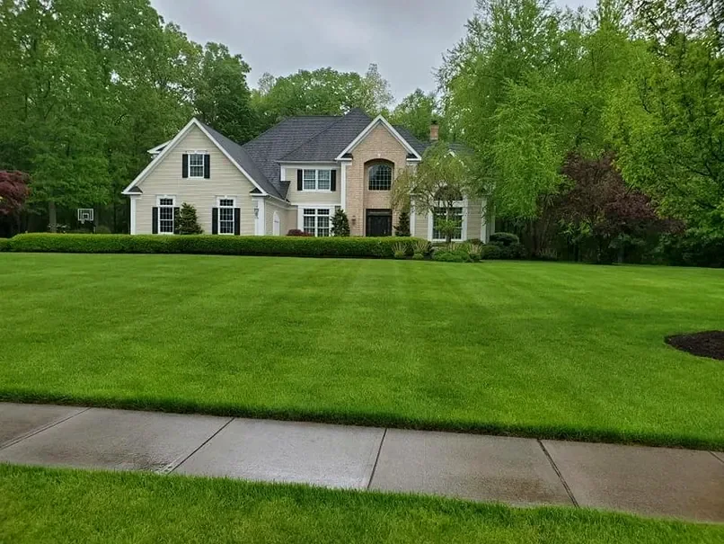 Wide residential lawn maintained with an even finish.