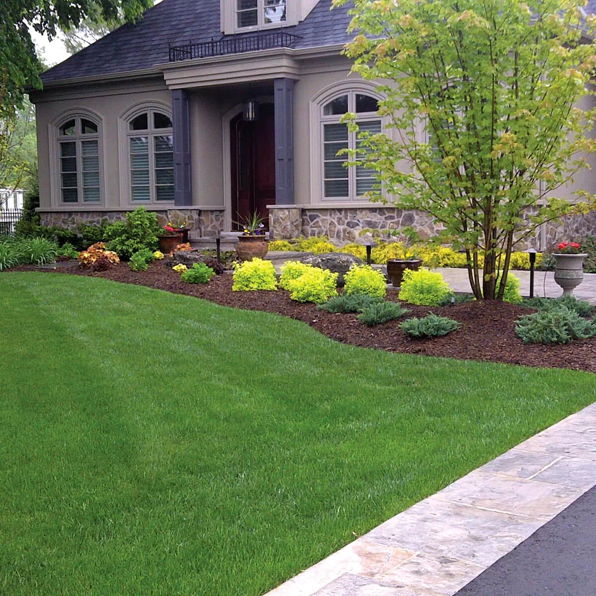 Freshly maintained front garden bed beside a lawn.
