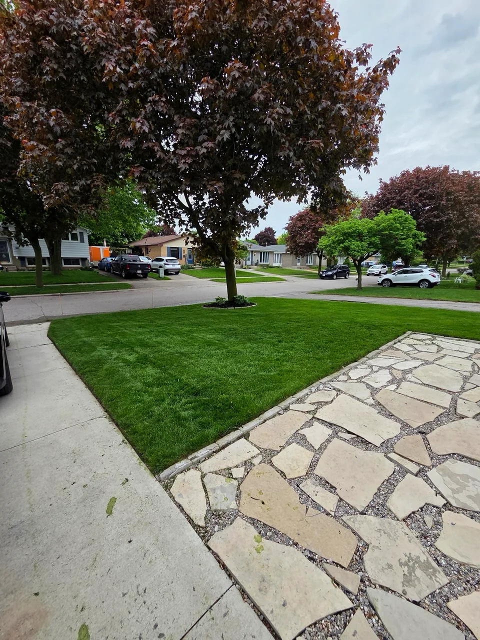 Residential front lawn with a clean edge along the walkway.