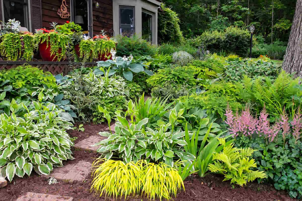 Established manicured garden from an A&R service area page