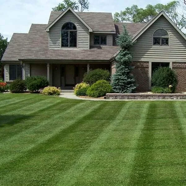 Freshly striped front lawn at a residential property.