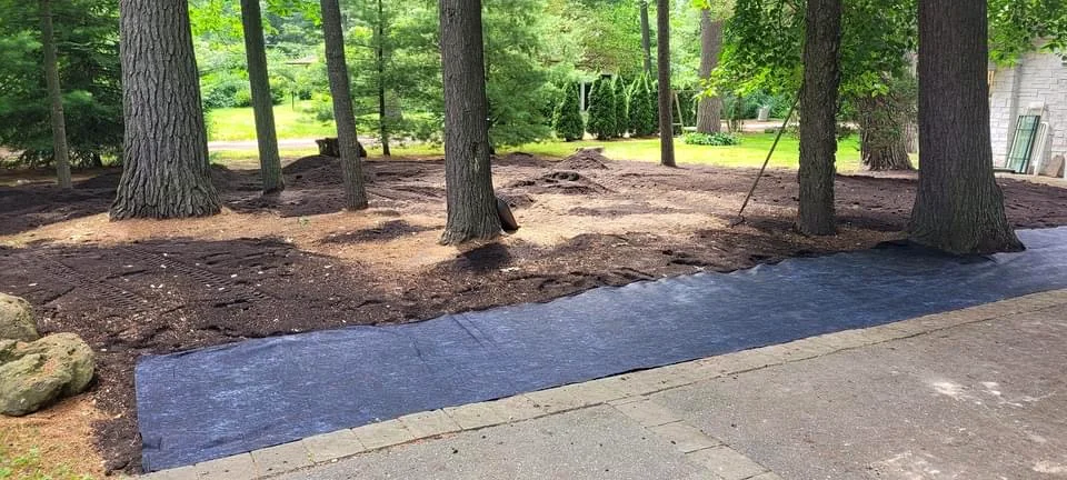 Fresh landscape edging installed along a woodland bed.