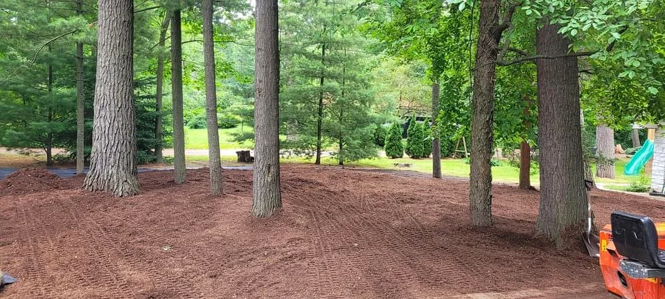 Finished woodland garden bed with fresh mulch.